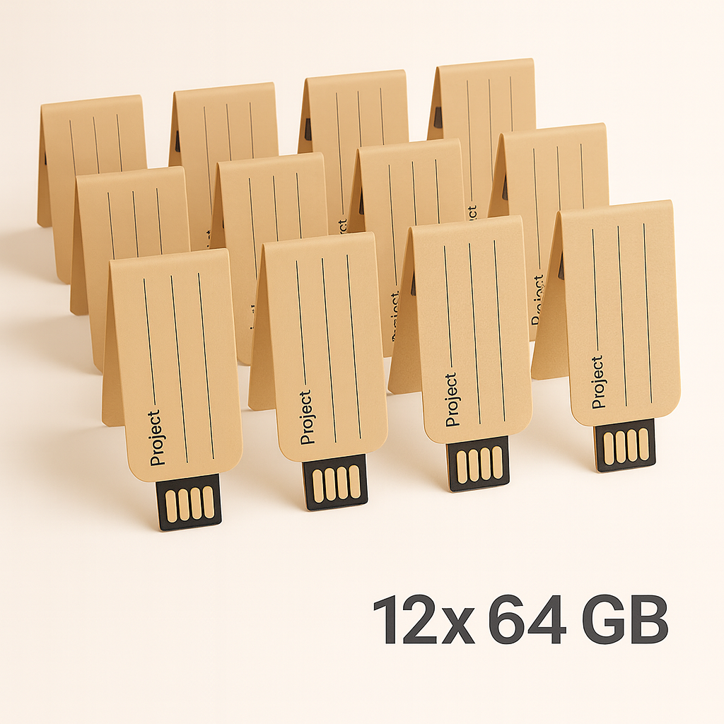 USB Papier-Clip 2.0 | 64GB | 12er Pack